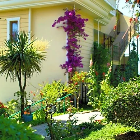 Hotel Yel 3*