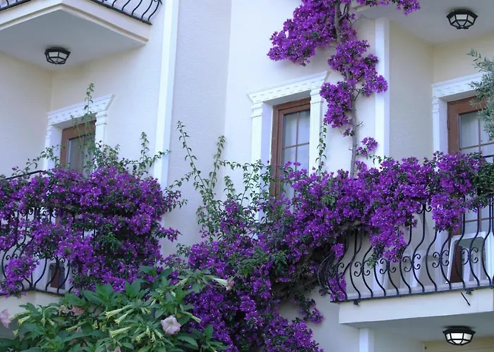 Yel 3* Олудениз